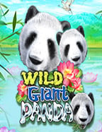 เคล็ดลับเล่น คา สิ โน joker ที่ไม่ควรพลาด